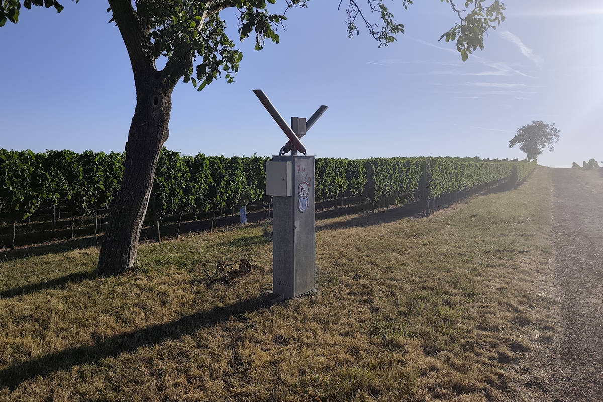 Schussapparat in den Weinbergen über Selzen zur Vogelabwehr